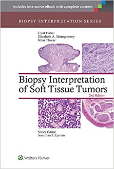 Biopsy Interpretation of Soft Tissue Tumors (Biopsy Interpretation Series)