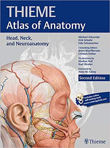 Head, Neck, and Neuroanatomy, 2e (THIEME Atlas of Anatomy)