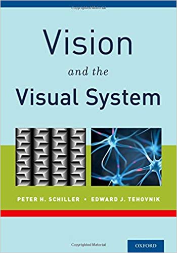 Vision and the Visual System
