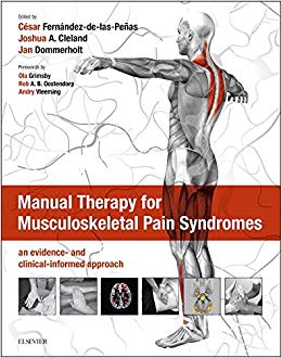 Manual Therapy for Musculoskeletal Pain Syndromes: an evidence- and clinical-informed approach