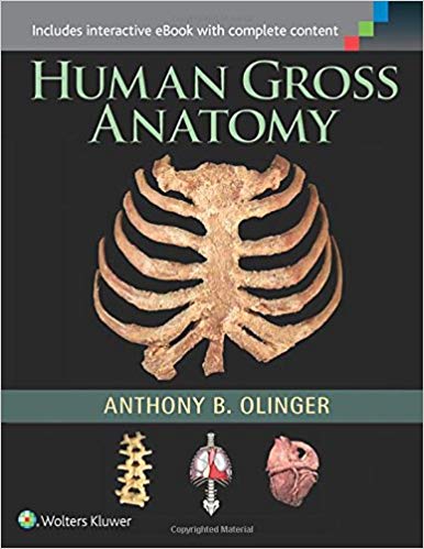 Human Gross Anatomy